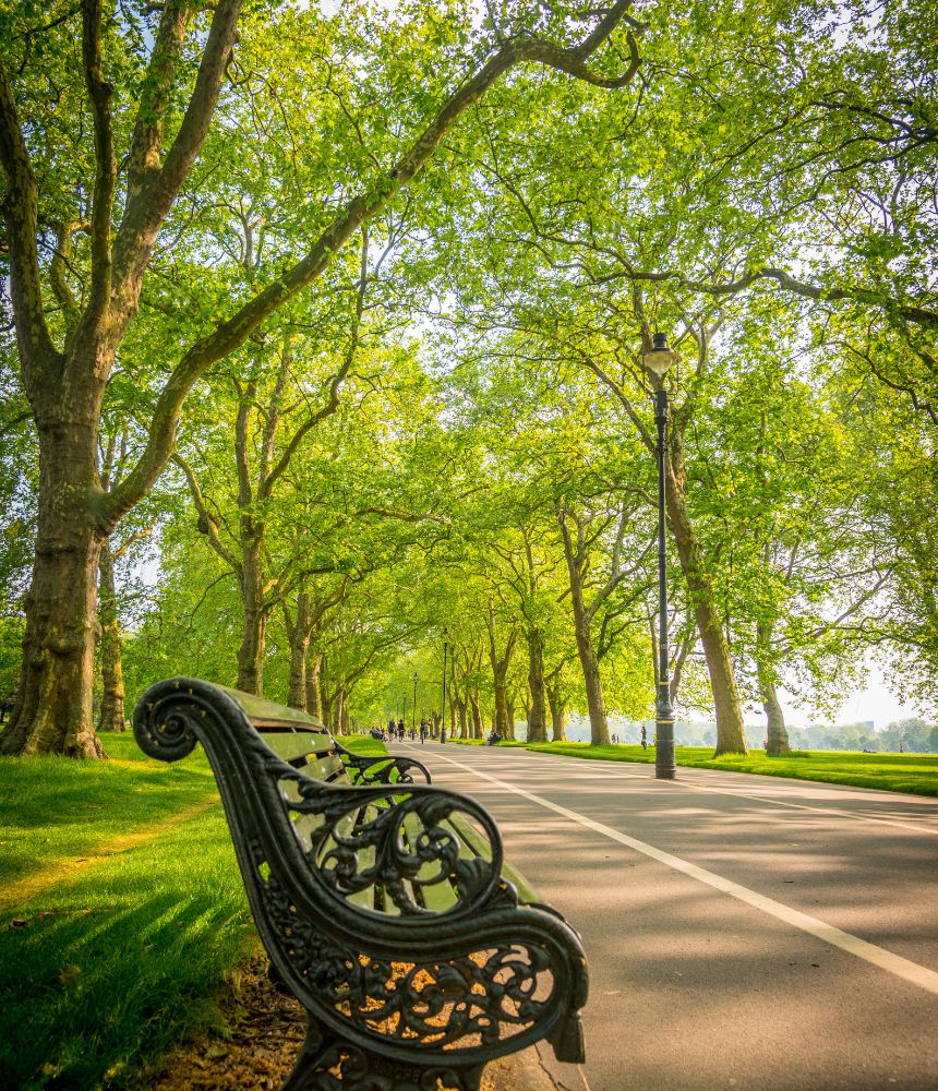 Uredjenje Javnih Povrsina - LFK